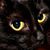 Gonzalez Gaby's profile image
