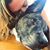 Cristina Marie Mniece's profile image