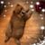 Maryann Dickison Minnichbach's profile image