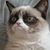 Todd Blumhorst's profile image