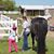 Sara M Gronski's profile image