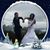 Carmen Castro's profile image