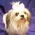 Linda White's profile image