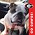 Annette Waldrup Harris's profile image