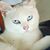 Devve Twok Cc's profile image