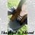 Mary Meade's profile image