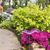 Diane Hamra Hambric's profile image