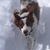 Stephanie Naftal's profile image