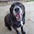 Christine Zapor Horton's profile image