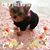 Charlene Stinson's profile image