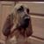 Helen Schroeder Baker's profile image