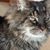 Sue Carroll's profile image