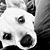 Kim Burbridge's profile image