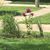 Cristina Sanchez-Lopez's profile image