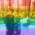 Debbie Wood's profile image