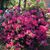 Nancy Hoit Krauss's profile image