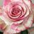 Teresa Gail Anderson's profile image