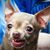 Tracey Barr's profile image