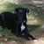 John Holbrook's profile image