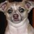 Chris Suwanski's profile image