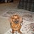Barb Prochaska's profile image
