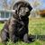 Andy Scott Bell's profile image
