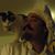 James Van Vorst's profile image