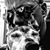 Mike Ratt's profile image