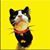 Kathy Wymore's profile image