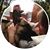 Kelly Mercurio's profile image