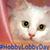 Eva Landry's profile image