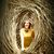 Sibila Hatala's profile image