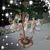 EstherSue Galvin's profile image