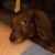 Teri Souhrada-Hubbard's profile image