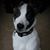 Maria Spencer's profile image