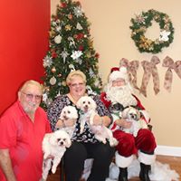 Lori Ann Avella Selch's profile image