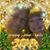 Karen E. Parrott's profile image