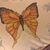 Julie Abner Gorbett's profile image