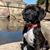 Nathan Cullison's profile image