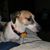Nancy Raine Smego's profile image