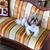Aundriea Allen Mitchell's profile image