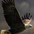 Kathy Petty's profile image