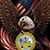 Ken Bush's profile image