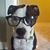 Laurinda Krause's profile image