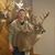 Steve Robinson's profile image
