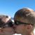 Frank N Misty Tidwell's profile image