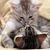Meriela Lopez's profile image