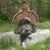 Patrick Nall's profile image