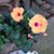 Jeanne Wentzell's profile image