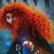 Cindy Zwack-Caruso's profile image